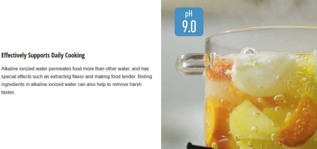 PANASONIC MICRO FILTRATION ALKALINE IONIZER TK-AS500-ZMA